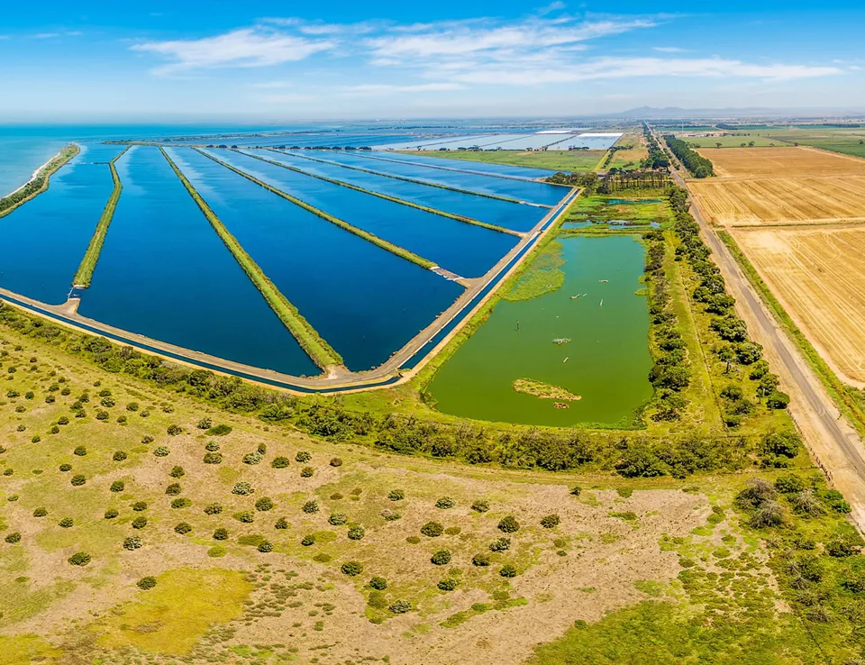 Water Treatment Plant Melbourne Australia Banner Webinar