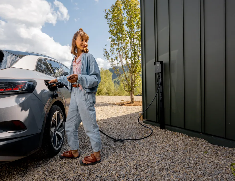 Sustainable Energy Future Ricardo