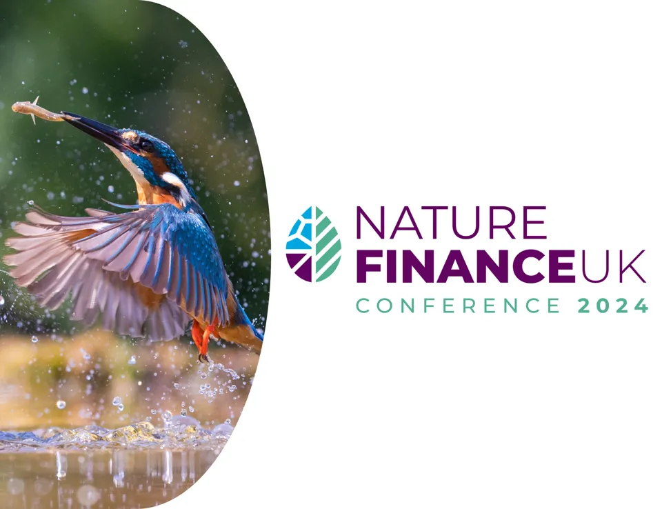 Nature Finance Website
