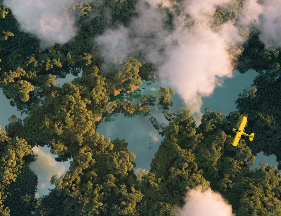 Yellow Plane Flying Over Forest (2)