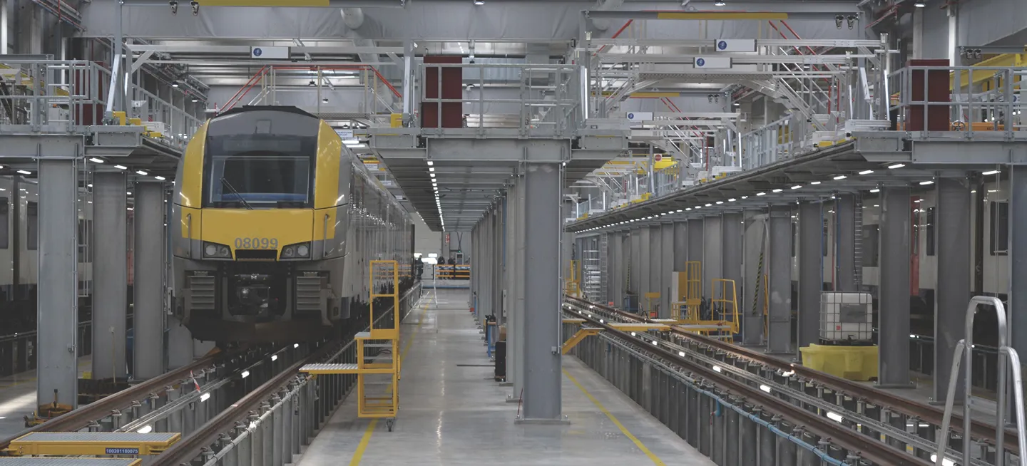 Shutterstock 1569063094