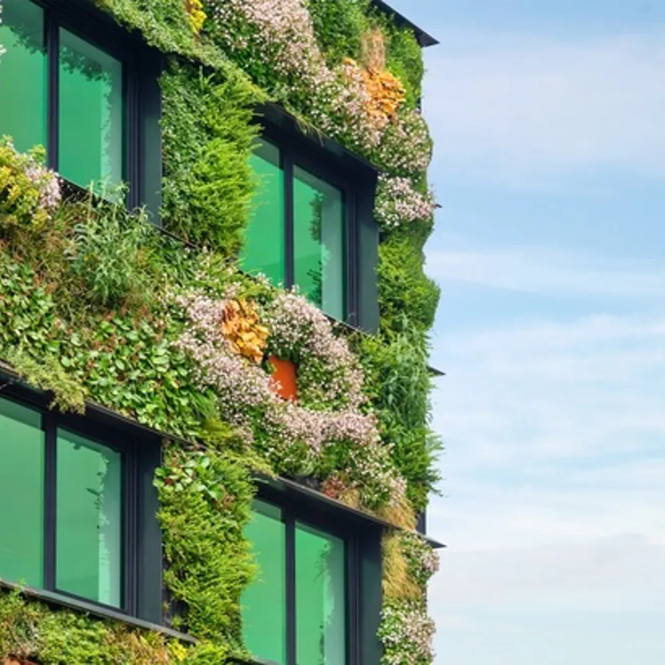 Air Quality City Ricardo