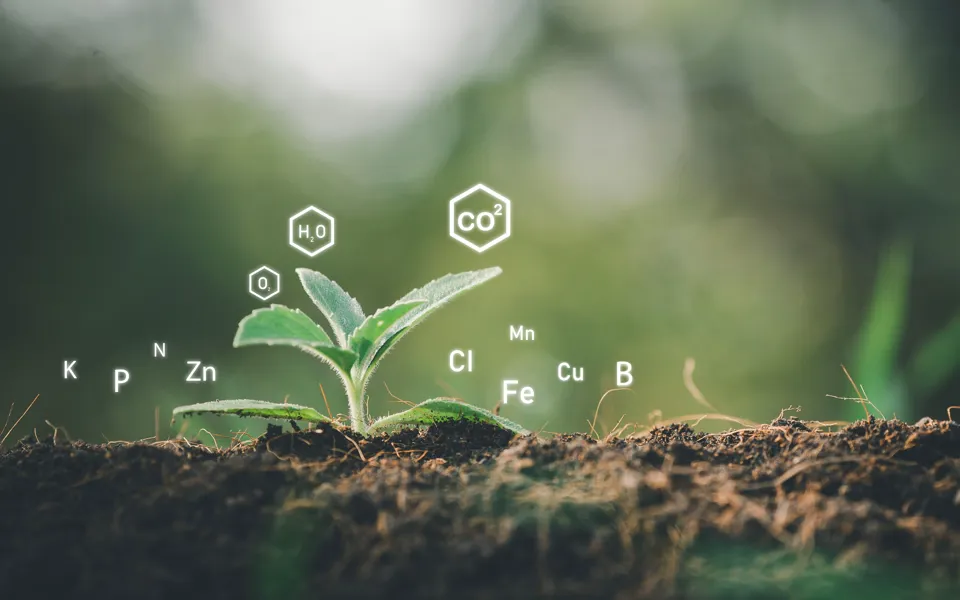 Chemical Environment Reduce Impact 2245238199