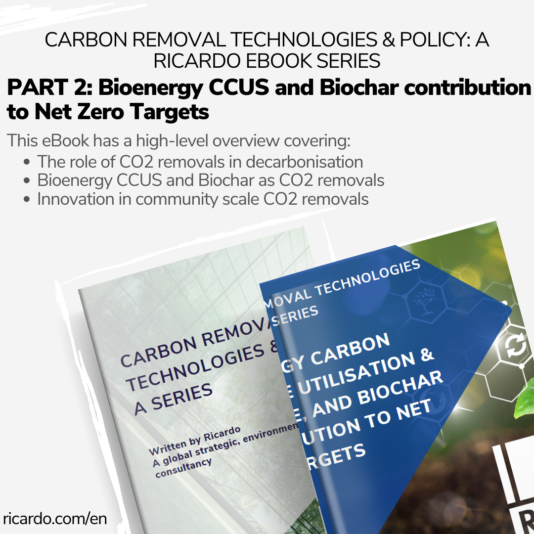 Bioenergy Carbon Capture Utilisation & Storage, And Biochar ...