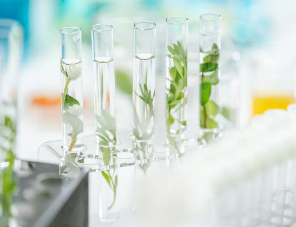Laboratory Testing Ect Ecotox Bio Chem 2334106349
