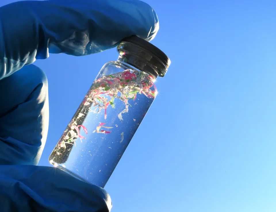 Water Sample Ecotox Ect 2411593493