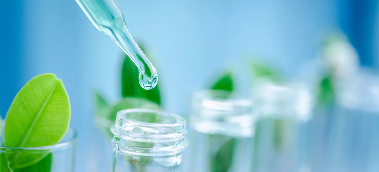 Sustainability Chemical Industry