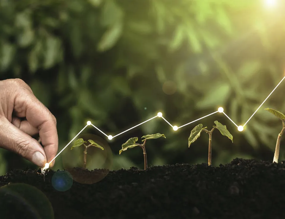 Sustainable Growth