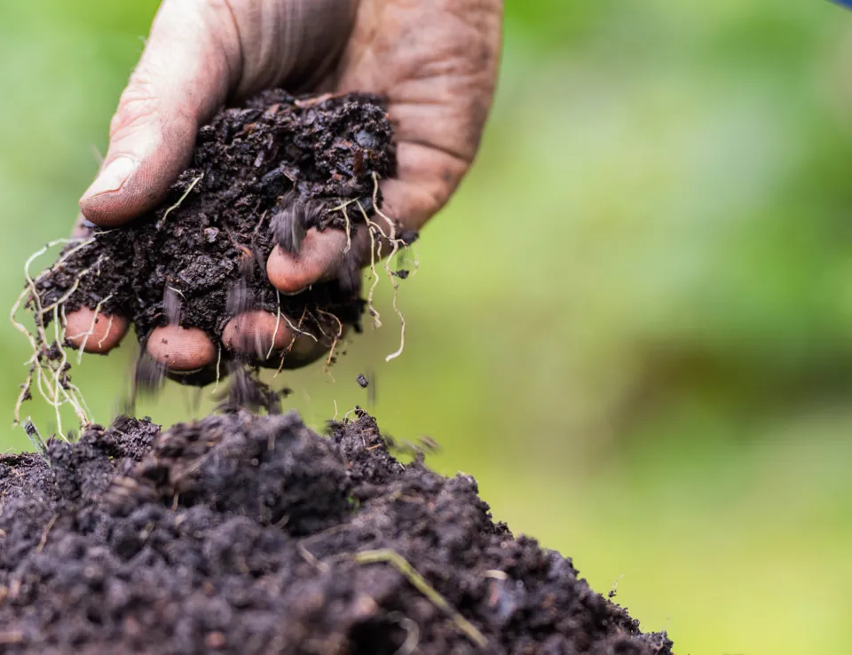 Biochar Soil Health 2468786197