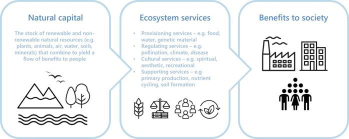 Source  Adapted from Natural Capital Protocol  Figure 1   Defining natural capital and its roles delivering critical ecosystem services and benefits to society