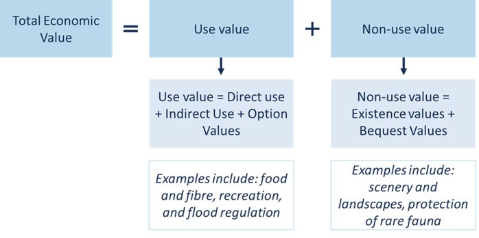 Figure 1: TEV categories