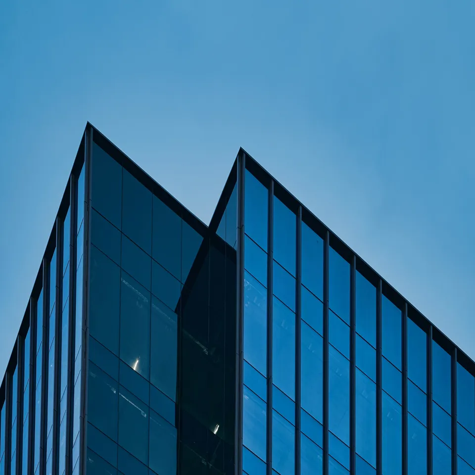 Financial Service Consulting Ricardo